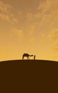 camel in Arabian desert
