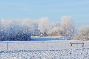 Landscape Trees Bank Winter