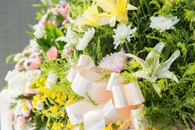 Flower White Pink