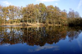 Pond Water Lake