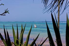 View of the beach and the indian ccean