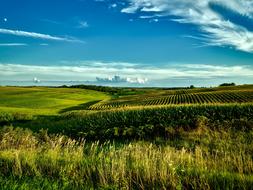 Iowa Farm Country