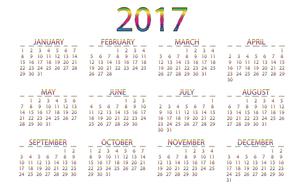 twenty seventeen 2017 calendar year