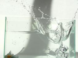 Glass Timing Water