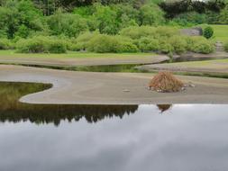 Lake Reflection Water