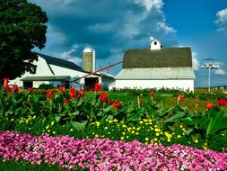 Iowa Farm Barn