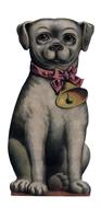 grey dog with bell on neck, victorian drawing