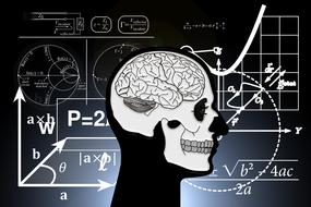 skull and crossbones mathematical drawing