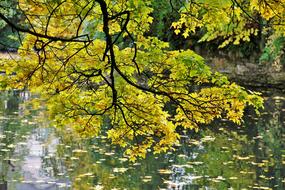 Golden October Autumn Idyll Fall