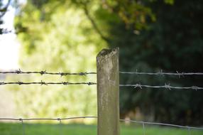 Fence Barbed Wire Green