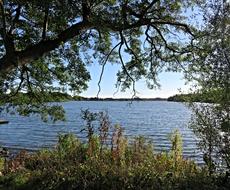 Landscape North Borger Lake