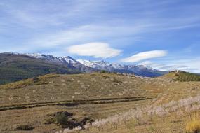 Sierra Nevada Mountain Almond