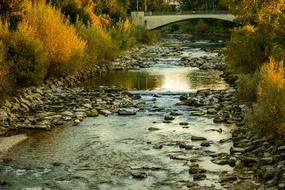 River Autumn Birs