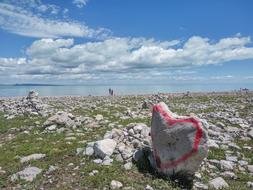 Qinghai Lake Dark Horse Township