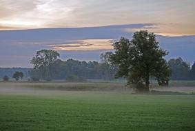 Ground Fog Morning