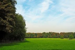 Landscape of Natural Forest