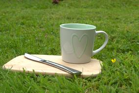 cup and board on Meadow