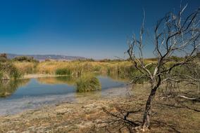 Laguna Lake Fishing