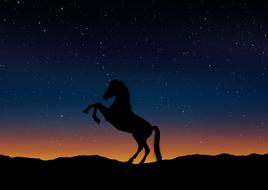 horse silhouette landscape nature