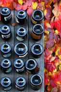 Wine Glass Autumn