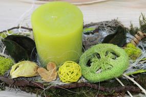 Candle Green Nature