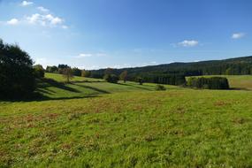 Landscape Meadow Nature