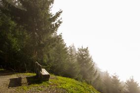 Autumn Fog Landscape