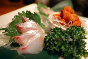 Japanese Food in Tavern