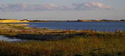 autumn grass on the shores of the Baltic Sea in Denmark