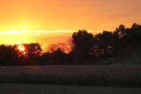 Soybean Harvest at Sunset