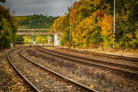 railroad tracks in the fall foliage