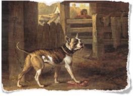 vintage painting, dog on farm in front of fence