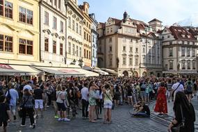 Crowd Group Of People Human
