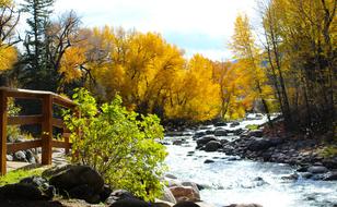 River Colorado Autumn