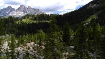 Rose Garden Alpine Rock Massif
