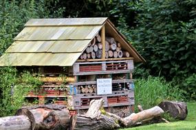 Colorful bug hotel, among the green trees of the beautiful forest