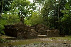 archaeological excavations in the forest