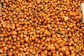 brown walnut background