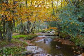 Landscape Peaceful Scenery