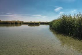 Laguna Lake Fishing