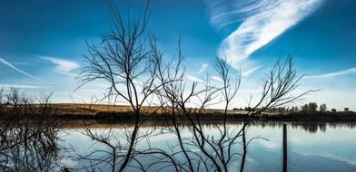 Laguna Lake Fishing