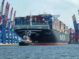 Elbe Maritime Transport Container ship
