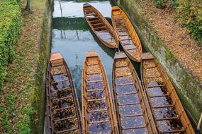 wooden boats in a pond in the foliage