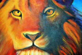 lion in oils drawing