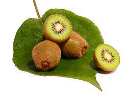 Kiwi Fruit Vitamins
