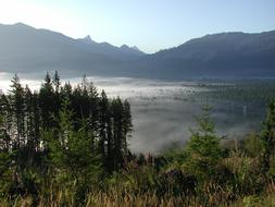 View Sunrise Trees