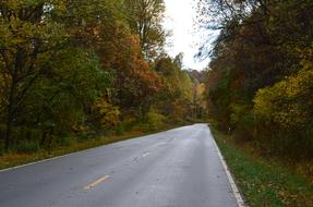 Road highway in forest scenic view