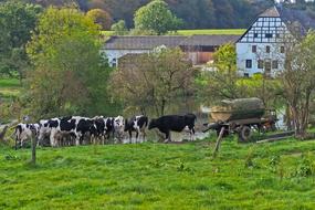 Landscape Farm Nature