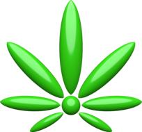 cannabis hemp ganja herb bud