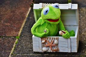 Kermit Frog, soft toy in box decorated with seashells